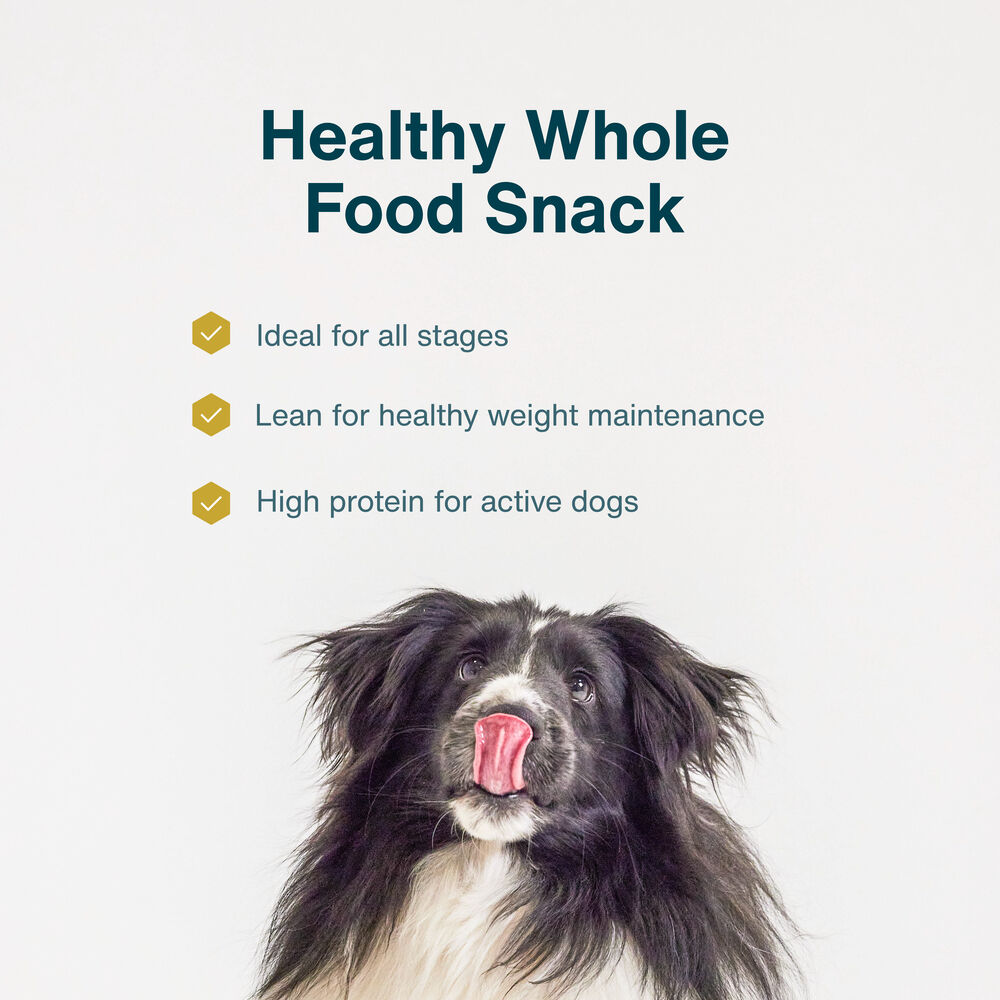 Healthy Skin & Coat Treats Bundle